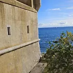 Palm - Palace Centre * Μεντόν