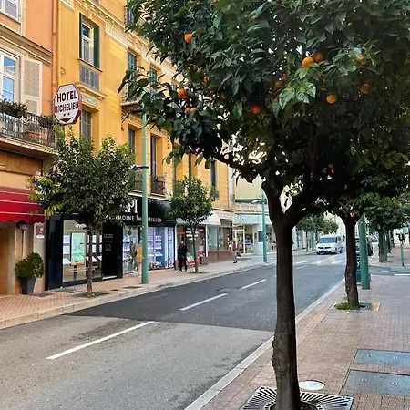 Palm - Palace & Plages - Centre Apartment Menton